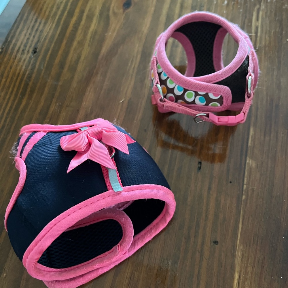 Guinea pig harness